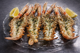 Cigala EXTRA PLANCHA