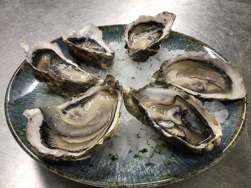 Ostra Gallega Rizada